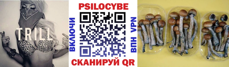 Псилоцибиновые грибы GOLDEN TEACHER  Купить где  Ковров 